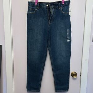 NWT GAP High Rise Mom Jean